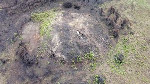 Foto aérea da mámoa de Lameiras