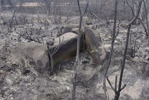 Mámoa de Lameiras.jpg